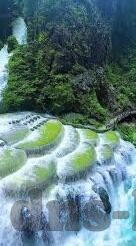 永隆比分一足球-永隆比分，足球世界的精准导航仪